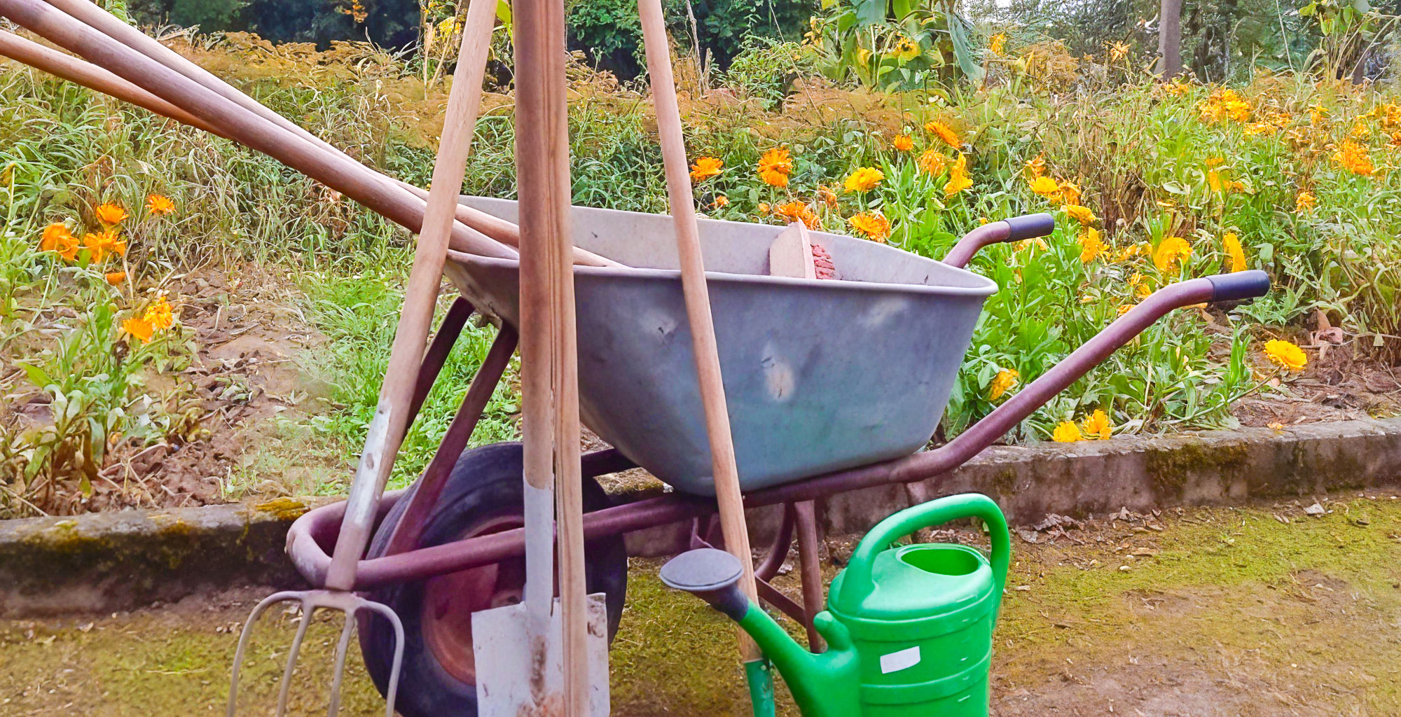 Werkzeuge und Arbeitsgeräte für professionelle Gartenpflege in Boppard