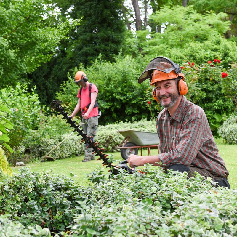 Professionelle Gartenpflege und Heckenschnitt durch die BEST gGmbH